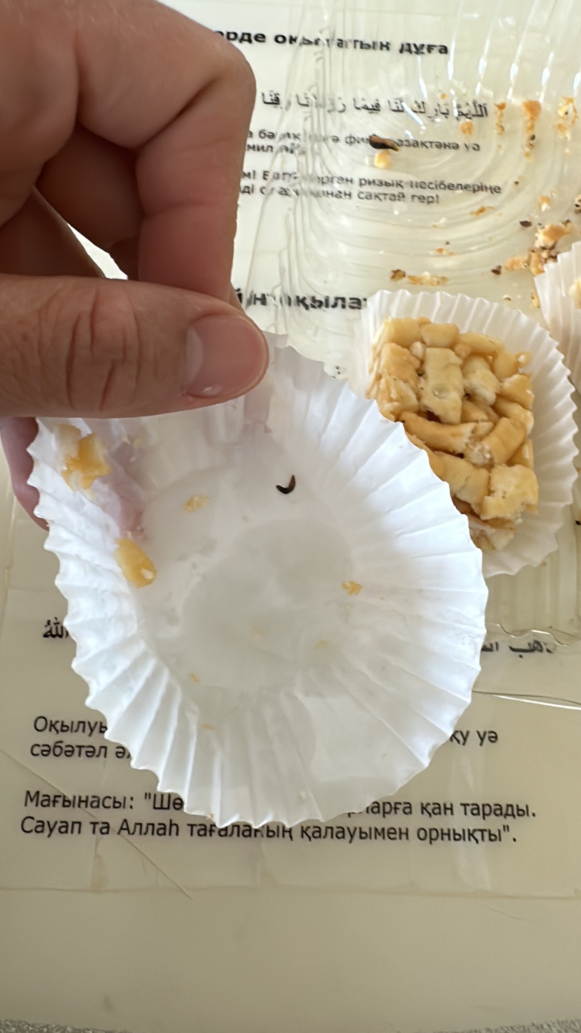 Патрисия Касс порно Жалаңаш жоппен порно