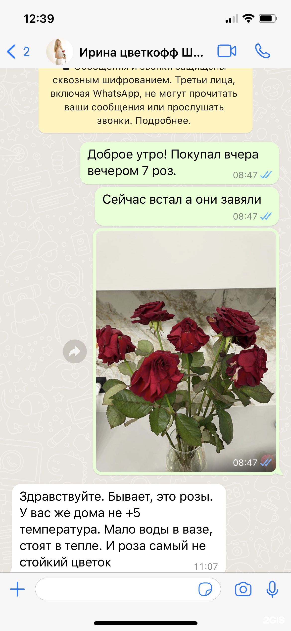 Цветкоff, салон цветов и гелиевых шаров, улица Курчатова, 16, Челябинск —  2ГИС