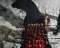 Мишка на прудах: отзыв от Лиана Забавина