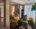 Green hosta: отзыв от Danua152