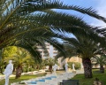 Swissotel Resort Сочи Камелия: отзыв от Анастасия Шахова
