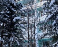 Бодрость: отзыв от Анна Галина