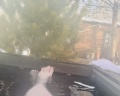 Wood place: отзыв от Алена Ильина