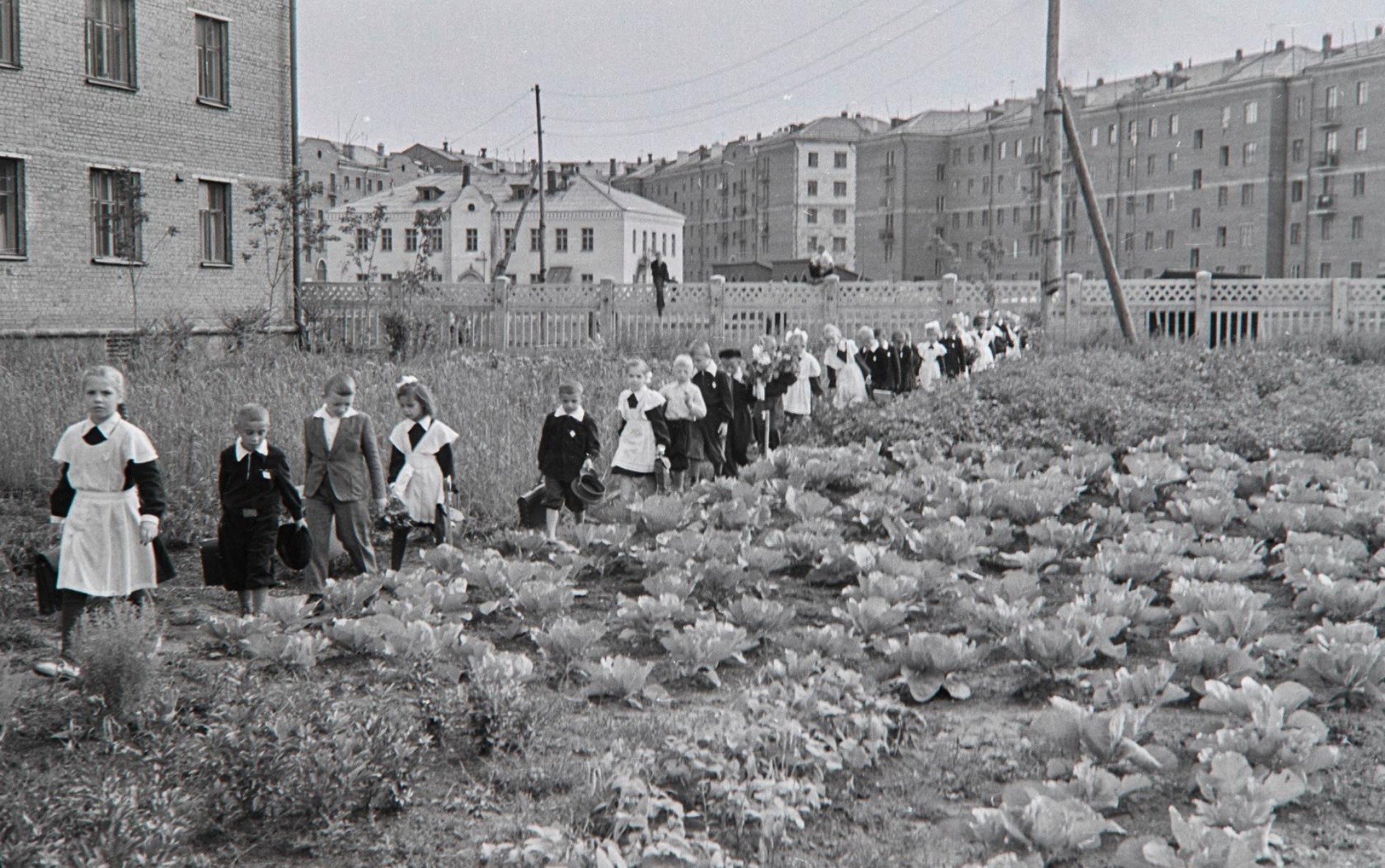 Проспект Курако, 8 в Новокузнецке — 2ГИС