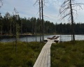 Forest lake: отзыв от Даниил из тг @resto_mesto