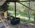 Лес Абрау: отзыв от Марина Маршалка