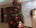Hilton Garden Inn: отзыв от Татьяна Игнатова