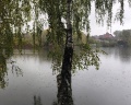 Орловский: отзыв от Олеся Смирнова