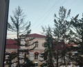 Васильевский Остров: отзыв от Светлана