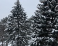 Петрово-Дальнее: отзыв от Людмила