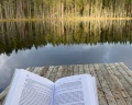 Forest lake: отзыв от Даниил из тг @resto_mesto