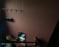 Jungle dom: отзыв от Анна Кокшарова
