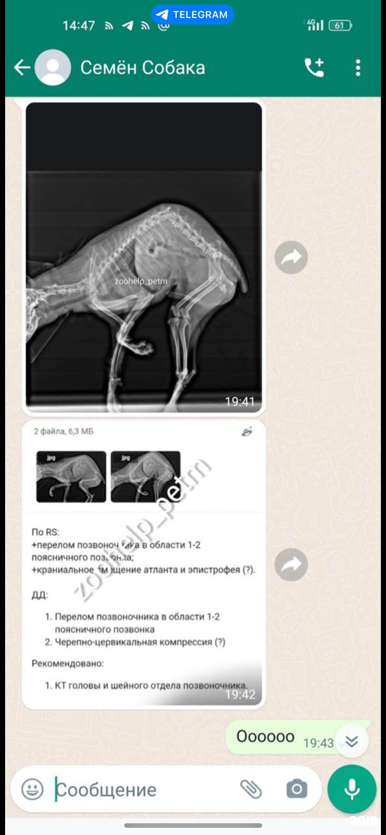 Антидогхантер Пермь, станция скорой помощи для бездомных животных,  Причальная, 5, Пермь — 2ГИС