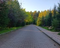 Финские дачи: отзыв от Алёна Керн