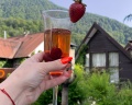 Неотель: отзыв от Екатерина Вишневская