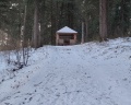 Кедровый бор: отзыв от Игорь Евдокимов