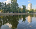 Лианозовский парк: отзыв от Владимир Берберян