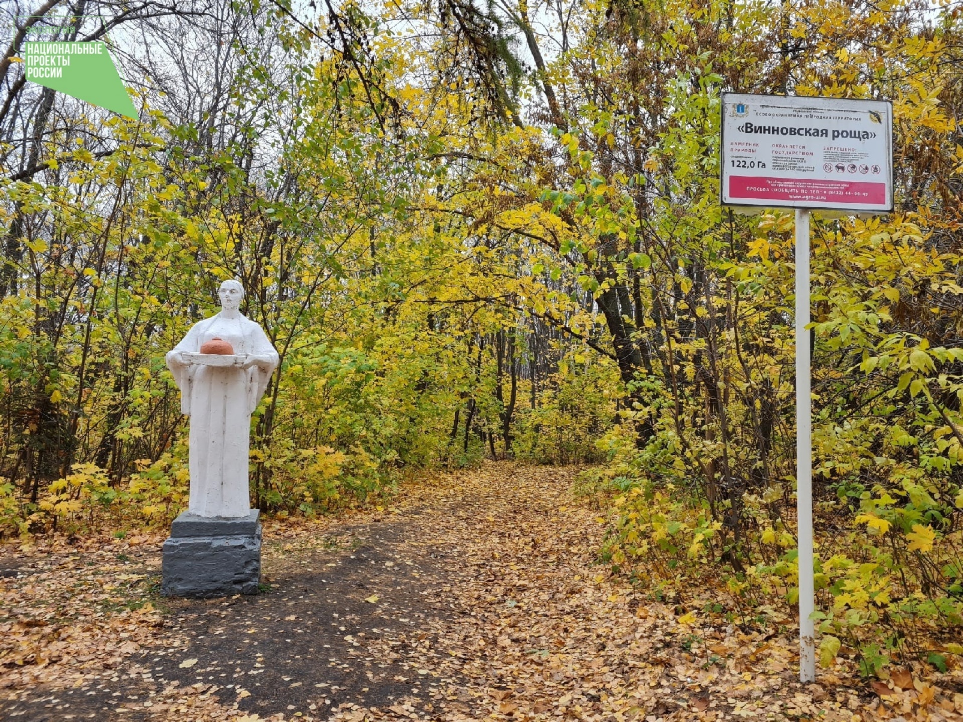 Винновская роща, парк культуры и отдыха, проспект Гая, 3Б, Ульяновск — 2ГИС