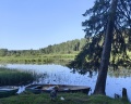 Vyritsa Village: отзыв от Тамара Захарова