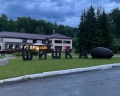 Шишка: отзыв от Никита Балок