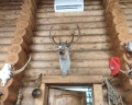 Hunter Paradise: отзыв от Виктория Лазарева