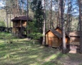 Altai star: отзыв от Юлия Иванова