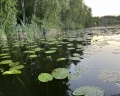 Karelian Rocky House: отзыв от Tatyana Nikiforova