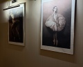 Grand Autograph Hotel Novosibirsk: отзыв от Arisha Mikheenko
