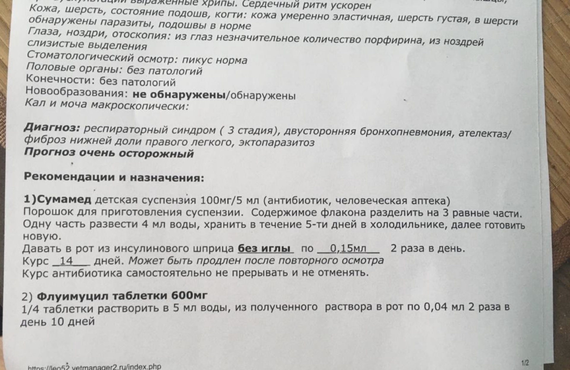 Четыре лапы, зоомагазин, ТРЦ Седьмое небо, Бетанкура улица, 1, Нижний  Новгород — 2ГИС