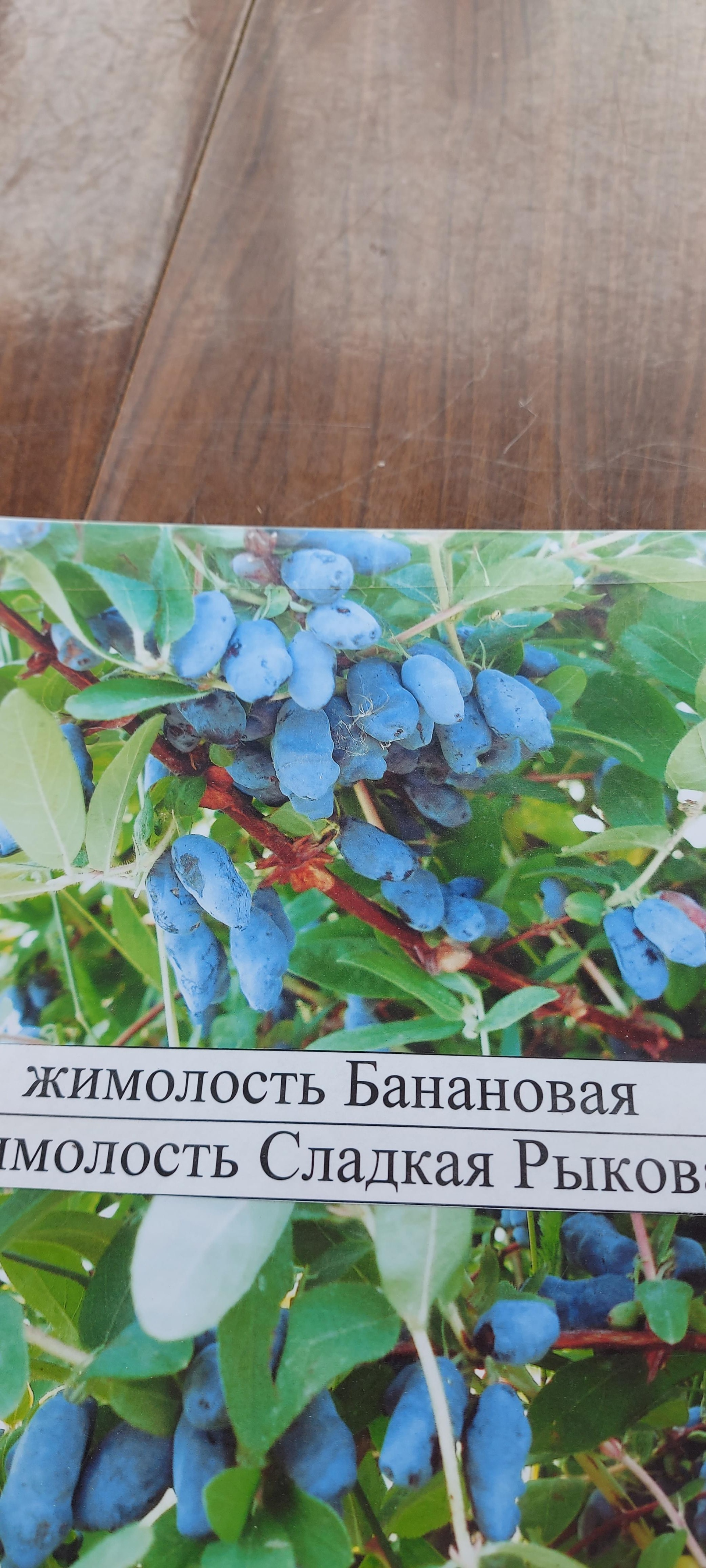 Плодово-ягодный питомник, Приморское лесничество (36-й квартал), 1, Иркутск  — 2ГИС