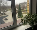 Оазис: отзыв от Еремей Бурнашев