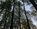 Кузьминское: отзыв от Ксения Махонина