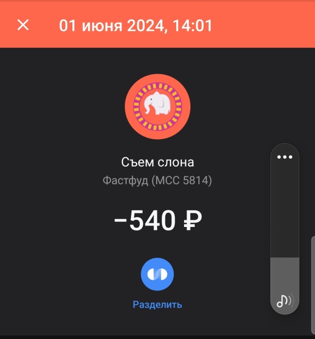 Плюс цифровые товары что это. Плюс цифровые товары что это. Плюс цифровые товары что это. Устройство цифрового рубля. Магазин цифровых товаров логотип.