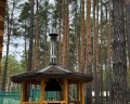 Сны Леса: отзыв от Анастасия Анастасия